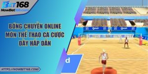 bong chuyen online anh dai dien