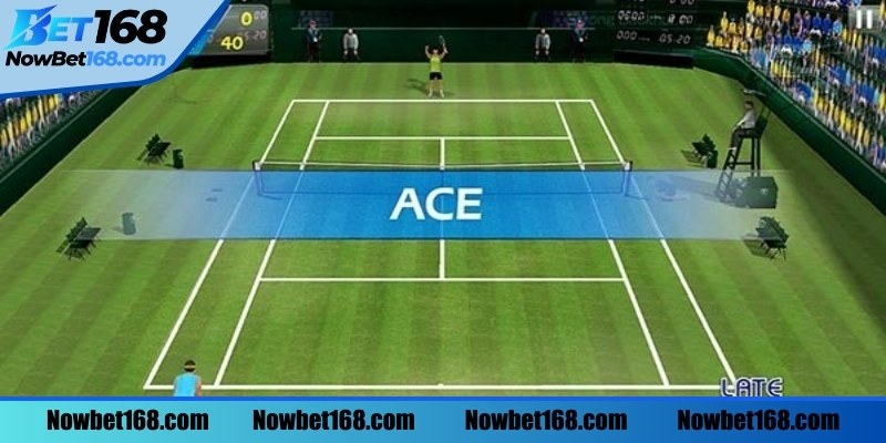 Một số kèo cược tennis