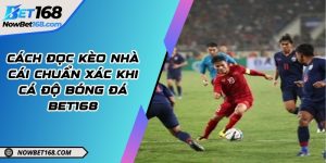 Soi kèo chi tiết và những bí quyết chọn cửa cược chuẩn xác