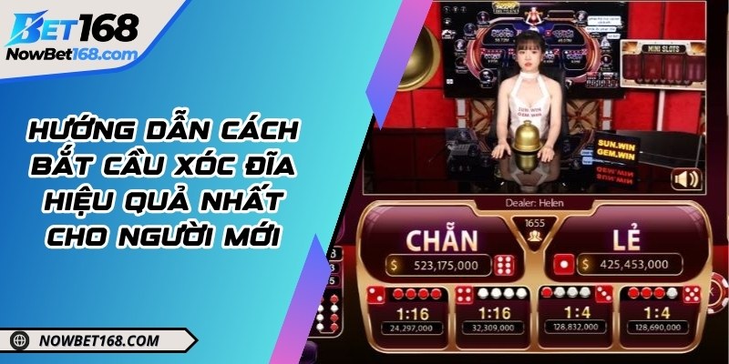 Hướng dẫn cách bắt cầu xóc đĩa hiệu quả nhất cho người mới